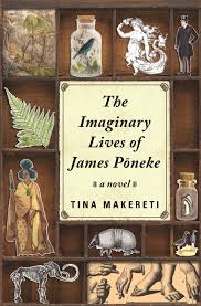 Imaginary lives of James Pomeke