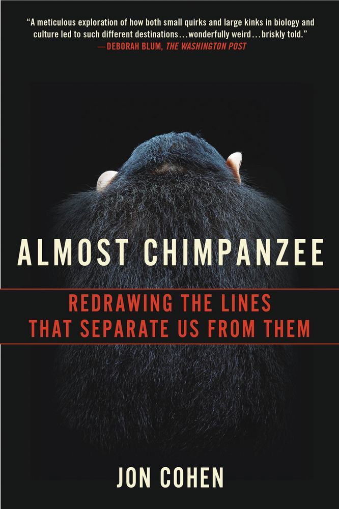 almost chimpanzee