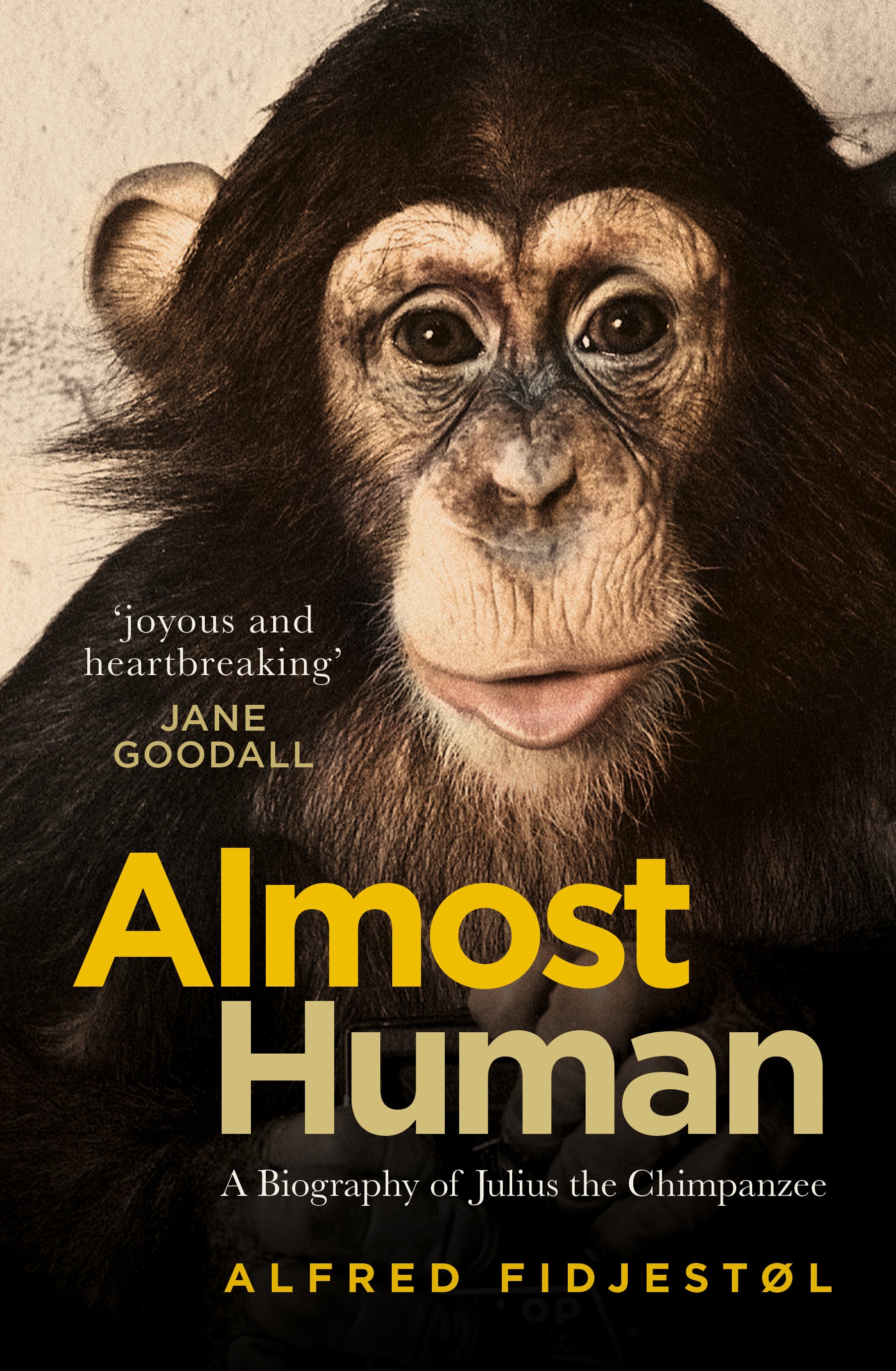 Cover of Almost human Julius
