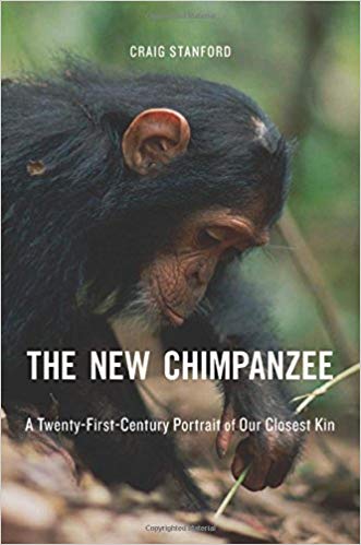 new chimpanzee