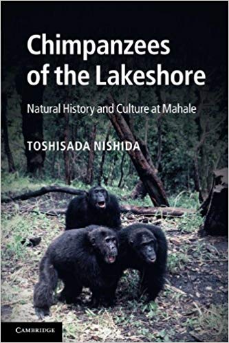 chimpanzees of the lakeshore