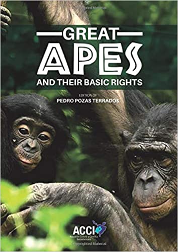 Great apes and their basic rights